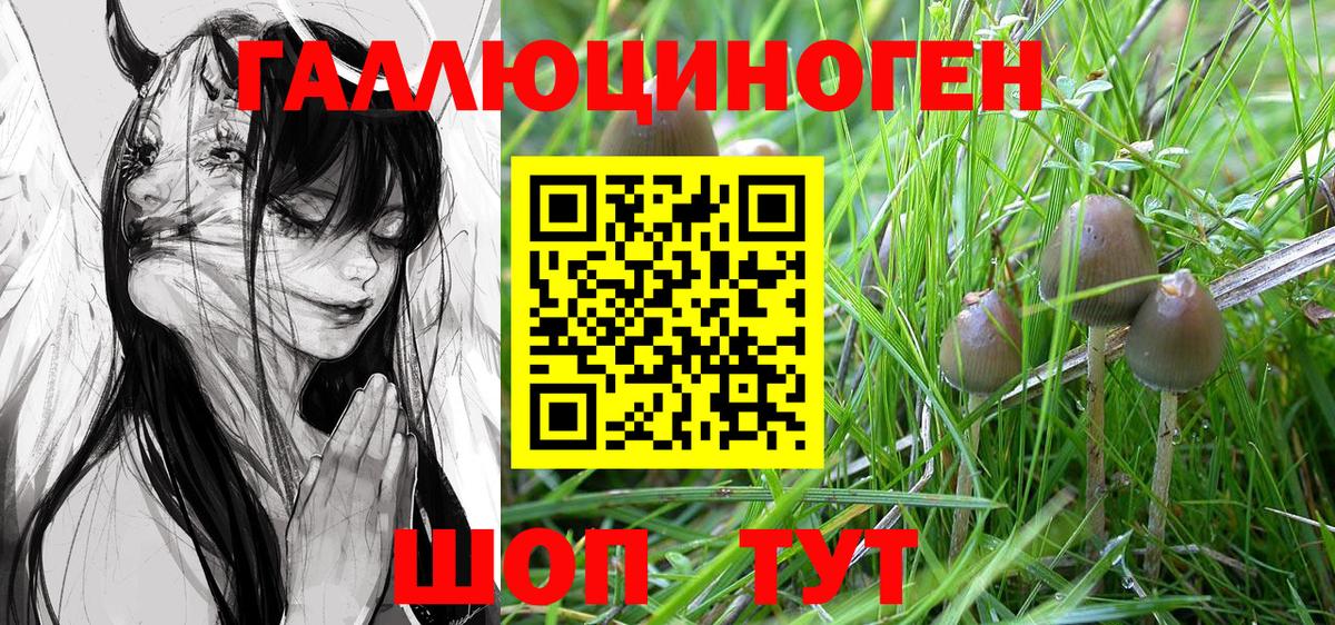 Чайковский  ГАШ  Канабис  Вход с VPN  Меф МЯУ МЯУ   Меф  Кокаин 