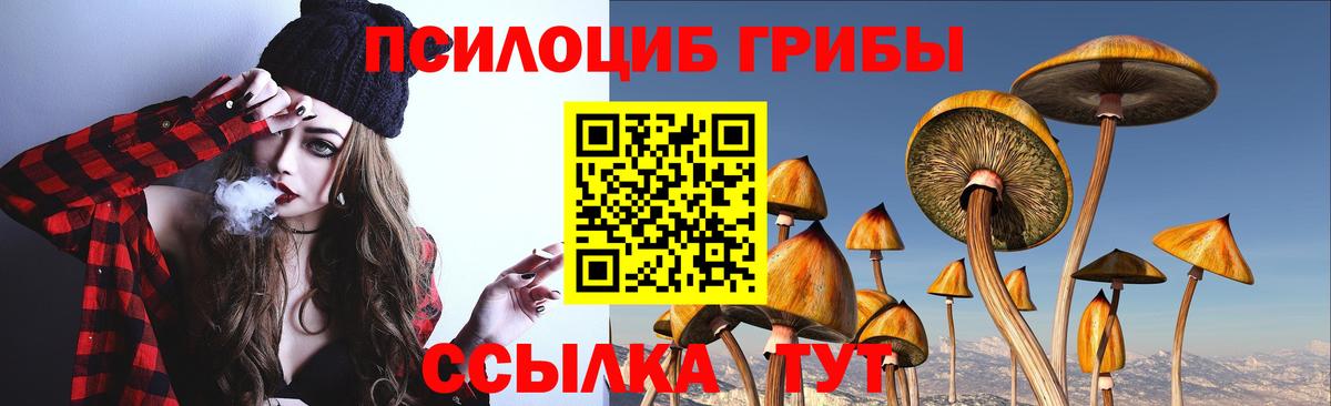 Чайковский  Галлюциногенные грибы Cubensis  Галлюциногенные грибы ЛСД  Вход с VPN 